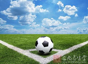 中超4月最佳阵容 武磊阎相闯等6位本土球员入围