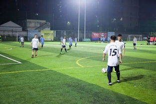 英超：主场大胜 纽卡斯尔3-0富勒姆